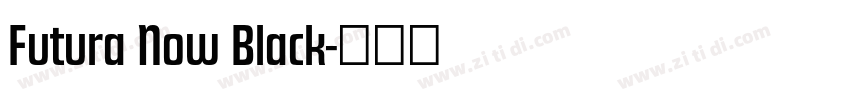 Futura Now Black字体转换
